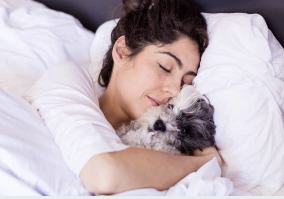 與寵物共睡，毛髮與細菌刺激容易引發後頸痘痘